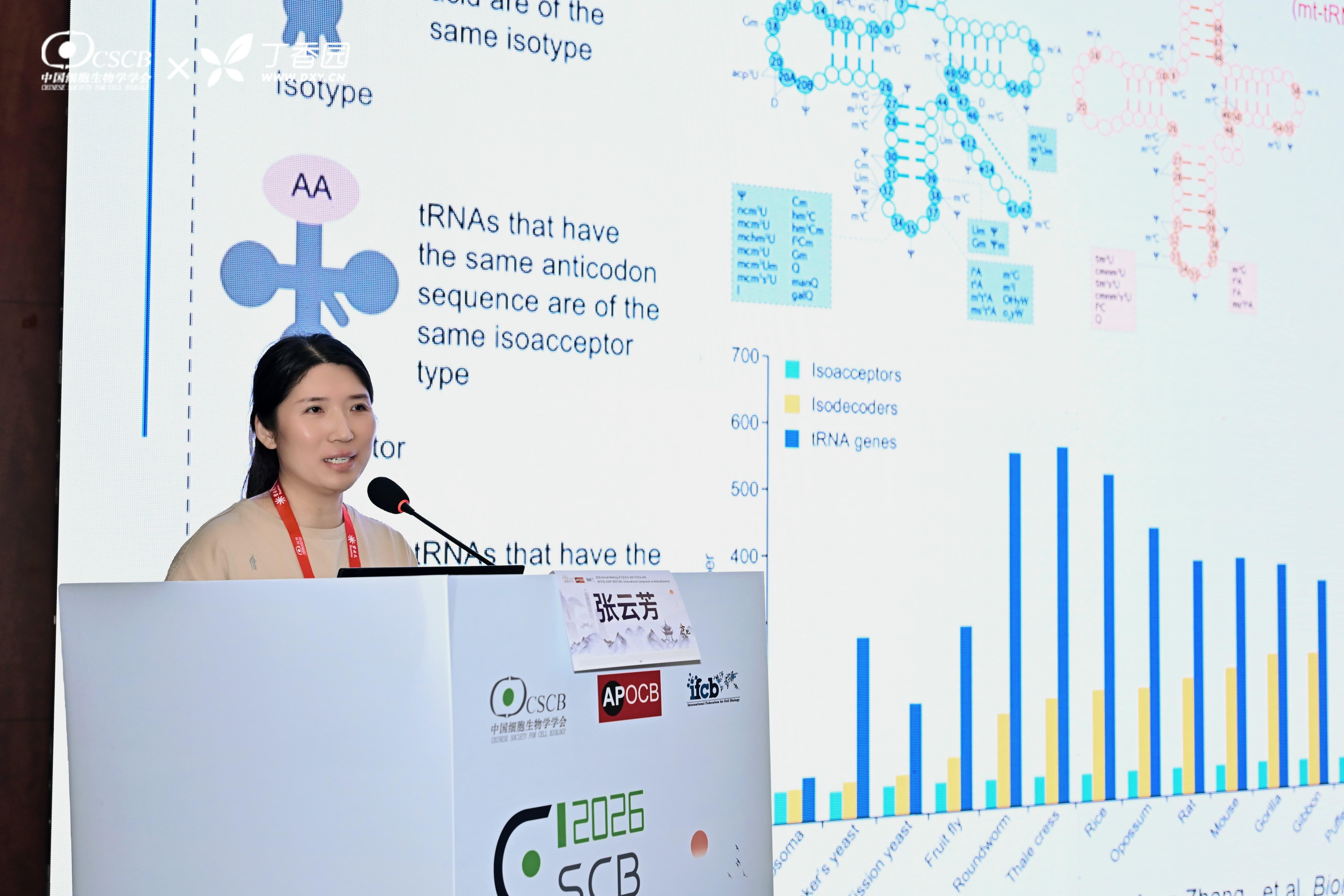 April 10, 2026 image 1